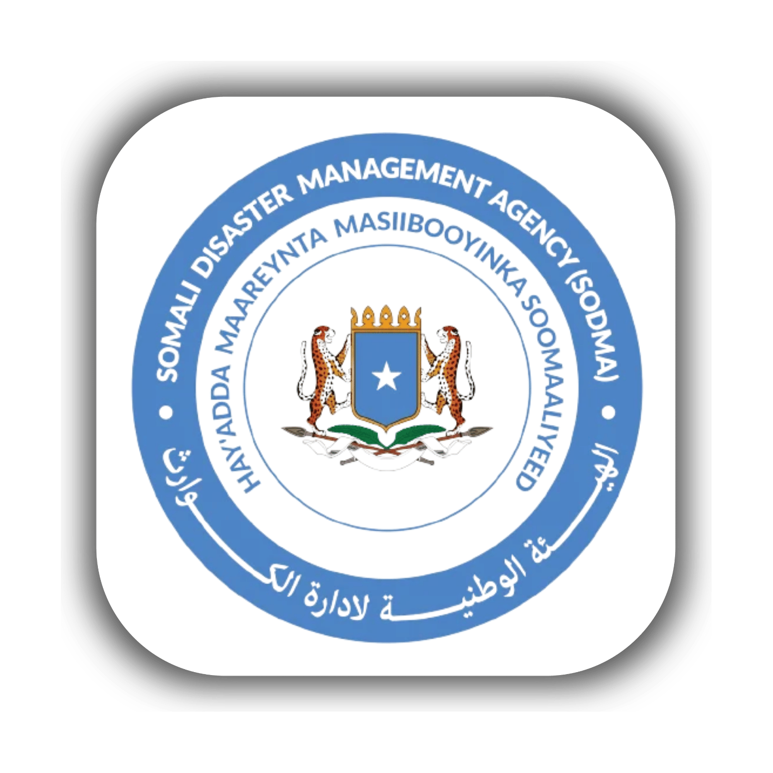 Untitled design (16)